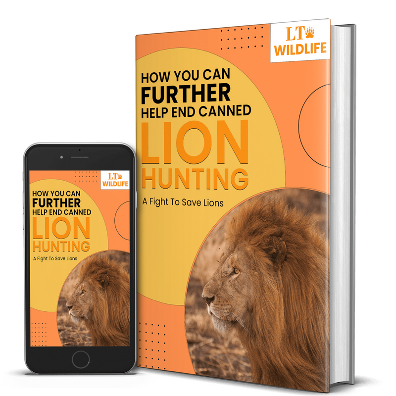 HOW YOU CAN FURTHER HELP END CANNED LION HUNTING EBOOK